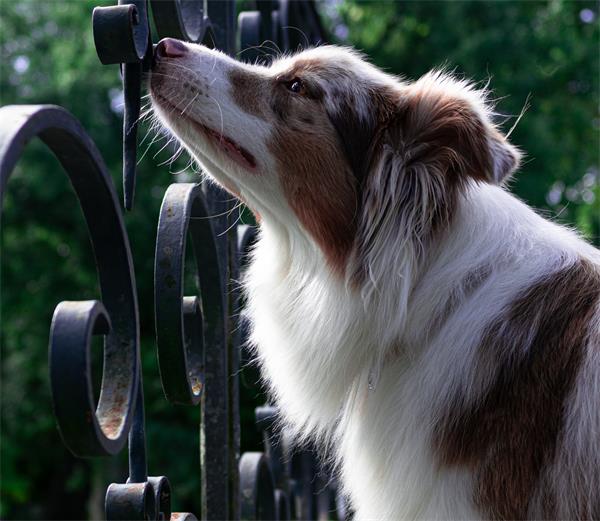 Ensure gates latch securely 